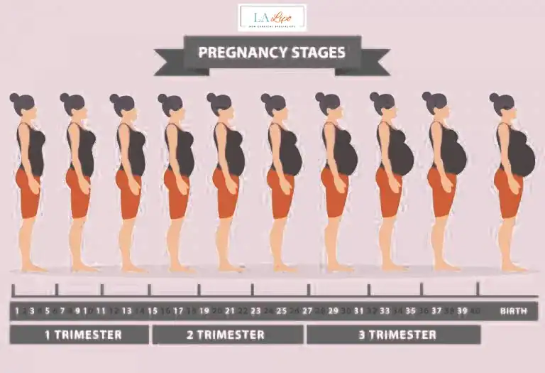 First Trimester (Weeks 1–12): Early Changes You Might Not Notice Rayleigh